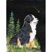 Caroline's Treasures Starry Night Bernese Mountain Dog 2-Sided Polyester 40 x 28 in. House Flag in Black | 40 H x 28 W in | Wayfair SS8468CHF