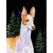 Caroline's Treasures Starry Night Ibizan Hound 2-Sided Polyester 40 x 28 in. House Flag in Black/Pink | 40 H x 28 W in | Wayfair SS8495CHF