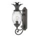 Hinkley Lighting Plantation 21 Inch Tall Outdoor Wall Light - 2120MB