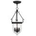 Livex Lighting Jefferson 10 Inch Cage Pendant - 5083-04