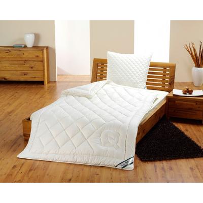 Frankenstolz »kbA Baumwolle« Bettdecken Steppbett / 155x220 cm / 1600g Image
