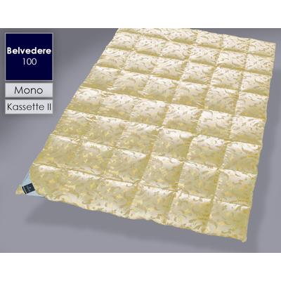 Billerbeck »100 Belvedere« Daunendecken Kassette II 135x200 cm 672g Image