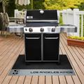 FANMATS NHL Grill Mat in Gray/Brown | 0.5 H x 42 W x 26 D in | Wayfair 14237