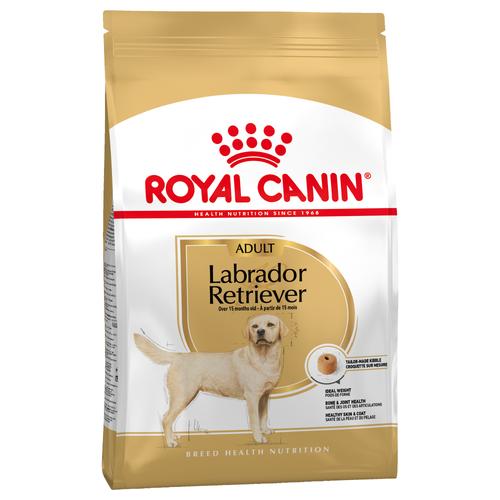 2 x 12kg Adult Labrador Retriever Royal Canin Breed Hundefutter trocken