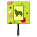 Caroline's Treasures Border Collie Leash Holder & Wall Hook Metal in Gray/Green | 6.25 H x 4.25 W x 0.65 D in | Wayfair CK1119SH4