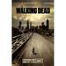 The Walking Dead (TV) Movie Poster (11 x 17)