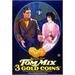 Posterazzi MOV199055 3 Gold Coins Movie Poster - 11 x 17 in.
