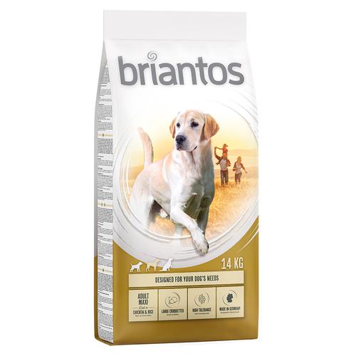14kg Adult Maxi mit Huhn & Reis Briantos Hundefutter trocken