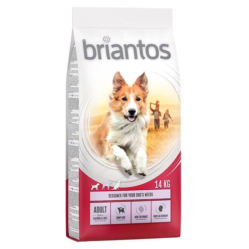 2 x 14kg Adult Lachs & Reis Briantos Hundefutter trocken