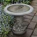 Campania International Spring Meadow Birdbath Concrete, Copper in Green | 12.5 H x 14.5 W x 14.5 D in | Wayfair B-169-EM