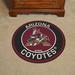 FANMATS NHL Arizona Coyotes Roundel 27 in. x 27 in. Non-Slip Indoor Only Mat Synthetics in Black/Brown/Red | Wayfair 18883