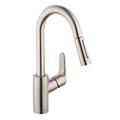 Hansgrohe Focus Pull Down Single Handle Kitchen Faucet in Gray | Wayfair 04506801