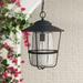 Capital Creekside 17 1/2"H Black Outdoor Hanging Light