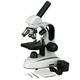 AmScope - 40X-1000X Cordless Compound Monocular Microscope, WF10X and WF25X Eyepieces, Top and Bottom LED Illumination, Brightfield, Single-Lens Condenser, Coaxial Coarse and Fine Focus - M158C-2L