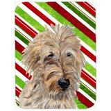 Caroline's Treasures Goldendoodle 2 Candy Cane Christmas Glass Cutting Board Glass | 0.15 H x 11.25 W x 15.38 D in | Wayfair SC9811LCB