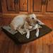 Laural Home Dog's Opinion Fleece Dog Bed Polyester/Cotton in Brown | 10 H x 40 W x 30 D in | Wayfair GPMDT3040FDB