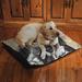 Laural Home Beagle Fleece Dog Bed Polyester/Fleece in Black/Brown | 10 H x 40 W x 30 D in | Wayfair LB3040FDB