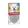 Lista prodotti Advantix Spot-on per cane - 4 pipette per cani 4-10 kg (1,0 ml)