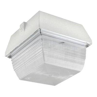 naturaLED 07539 - LED-FXCCM40/50K/WH Outdoor Parking Garage Canopy LED Fixture