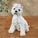 I Want a Treat Dog Sculpture White, Large, White