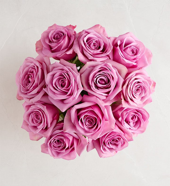 1-800-Flowers Flower Delivery Passion For Purple Roses 12 Stems Bouquet Only | Happiness Delivered To Their Door