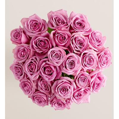 1-800-Flowers Flower Delivery Passion For Purple Roses 24 Stems, Bouquet Only | Send The Gift Of Flowers