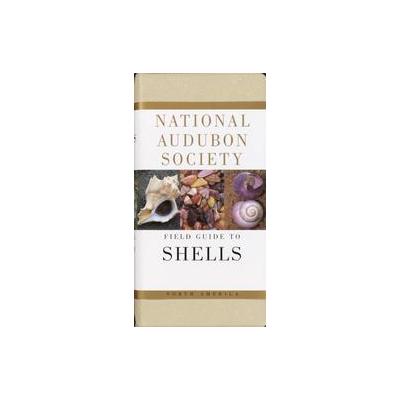 National Audubon Society Field Guide to North American Seashells by Harald A. Rehder (Paperback - Re
