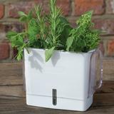 Cole & Mason Self Watering Fresh Herb Keeper Plastic Pot Planter | 7.87 H x 6.3 W x 4.72 D in | Wayfair H105159U