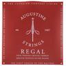 Augustine Classic Red Regal