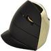 Evoluent VMCRWG C Series Vertical Mouse - Black/Gold