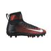 Nike Men's Lunarbeast TD Football Cleats