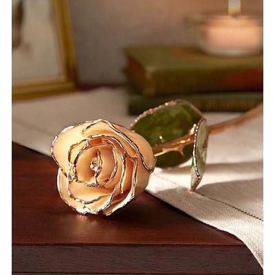1-800-Flowers Flower Delivery The Loving Rose - 24K Gold Dipped Rose For Sympathy | Happiness Delivered To Their Door