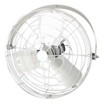 DAYTON 24B4WV-W-G Corrosion Resistant Industrial Fan, Ceiling, IBeam, Wall