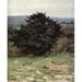 Happy England 1904 Old Yew Tree Crowhurst Poster Print by Helen Allingham (18 x 24)