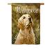 Breeze Decor Yellow Lab 2-Sided Polyester House Flag in Black/Yellow | 18.5 H x 13 W in | Wayfair BD-PT-G-110074-IP-BO-DS02-US