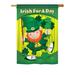 Breeze Decor Irish For A Day 2-Sided Polyester House/Garden Flag in Green/Red/Yellow | 18.5 H x 13 W in | Wayfair BD-SA-G-102025-IP-BO-DS02-US