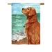 Breeze Decor Golden Stay Love 2-Sided Polyester House Flag Metal in Blue/Brown/Green | 40 H x 28 W in | Wayfair BD-PT-H-110084-IP-BO-DS02-US