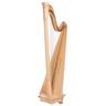 Salvi Ana Lever Harp 40 Str. NM