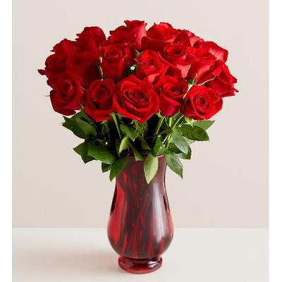 1-800-Flowers Flower Delivery Two Dozen Red Roses W/ Red Vase | Happiness Delivered To Their Door