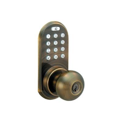 Entry Door Knobs: Morning Industry Door Handles Antique Brass Touch Pad and Remote Electronic Entry