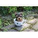 Hi-Line Gift Ltd. Teacup Yorkshire Terrier Puppy Statue in Black/Yellow | 5.5 H x 5 W x 5.25 D in | Wayfair 87706-D