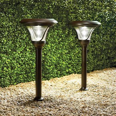 Set of 2 Pro Series VI Solar Path Light - Frontgate