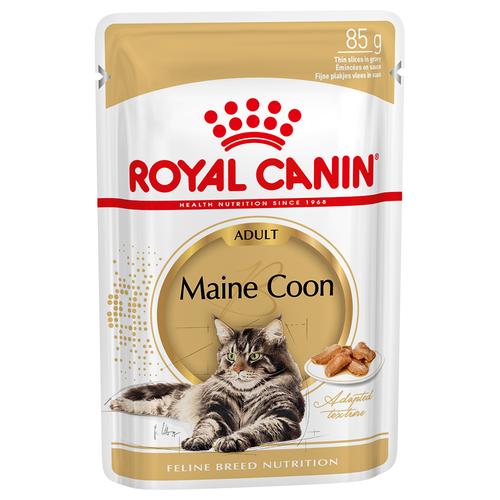 12 x 85g Royal Canin Maine Coon Nassfutter für Katzen
