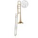 Bach LT 42BO Bb/F-Tenor Trombone