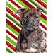 Caroline's Treasures Candy Cane Christmas 2-Sided Polyester 40 x 28 in. House Flag in Red/Green/Brown | 40 H x 28 W in | Wayfair SC9801CHF