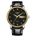 Guanqin Men Analogue Display Sport Popular Brand Automatic Self-Winding Mechanical Stainless Steel and Leather Business Wrist Watch Date Luminous Waterproof Silver Gold Black