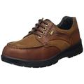 Gents lace up Shoes in Wide fit from Pavers These lace up Shoes for Men Feature Comfort Ideal for Casual wear | PAD24508 | 308 938 - Tan Size 7 (41)