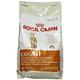 Royal Canin Exigent42Proteinpreference 4kg, 1er Pack (1 x 4 kg Packung) - Katzenfutter