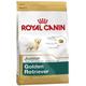Royal Canin Golden Retriever Junior 12 kg, 1er Pack (1 x 12 kg)