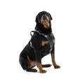 Unbekannt Bobby Rock Attitude Hundegeschirr aus schwarzem Leder, 65–85 cm